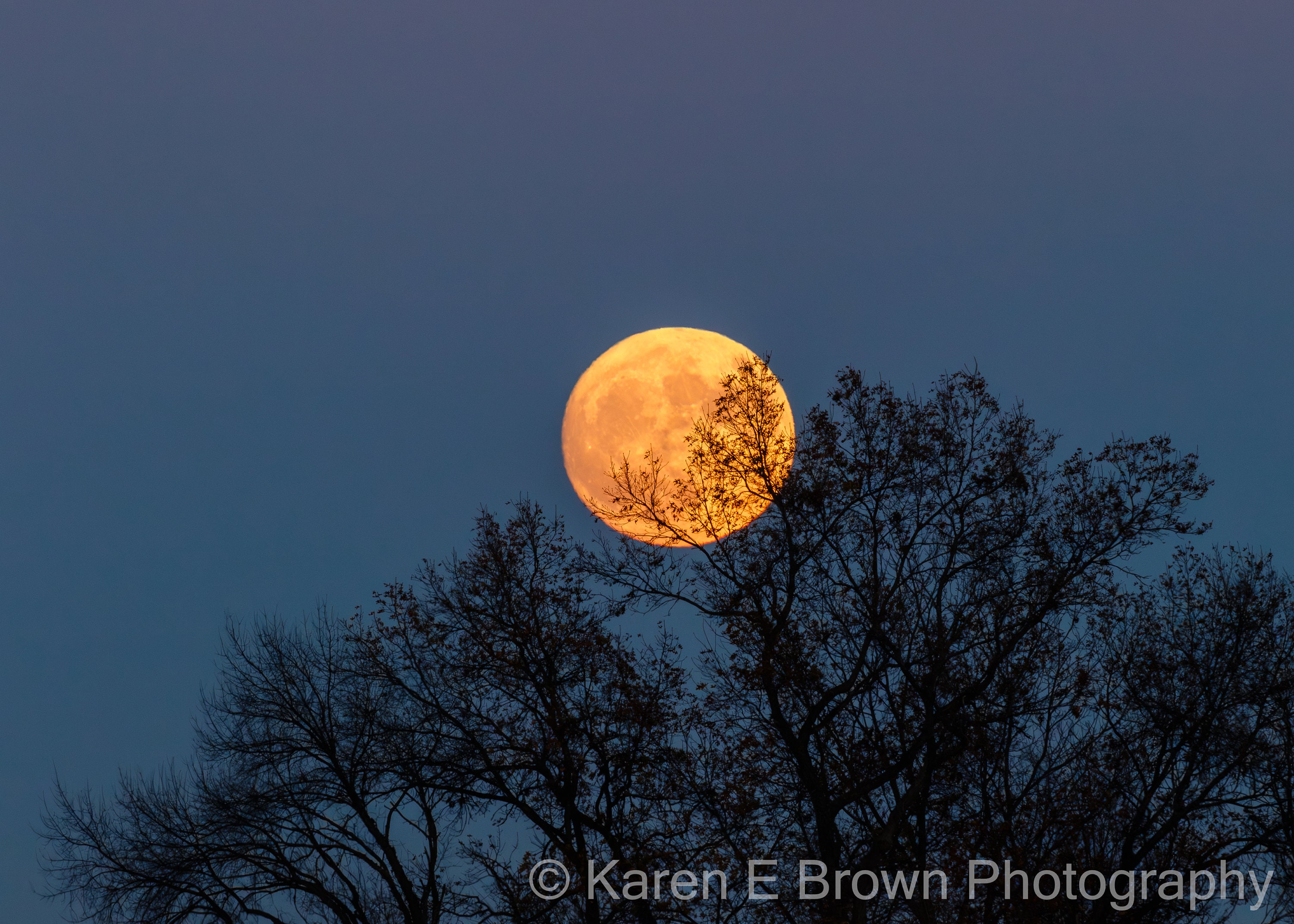 Moon Photography, Moon Print, Moon Picture, Harvest Moon, Golden Moon,  Glowing Moon, Celestial Art, Moon Decor, Night Photography