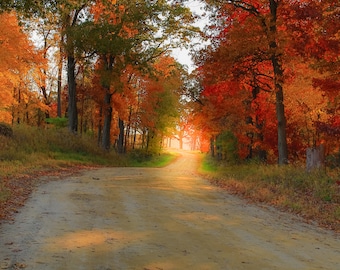 Michigan Autumn Road Photography Print, Fall Foliage Art