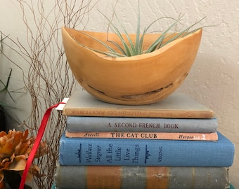 Hand carved wood bowl