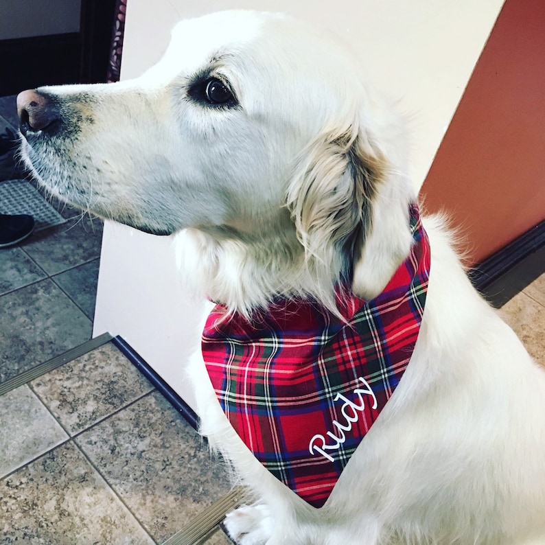 dog tartan bandana