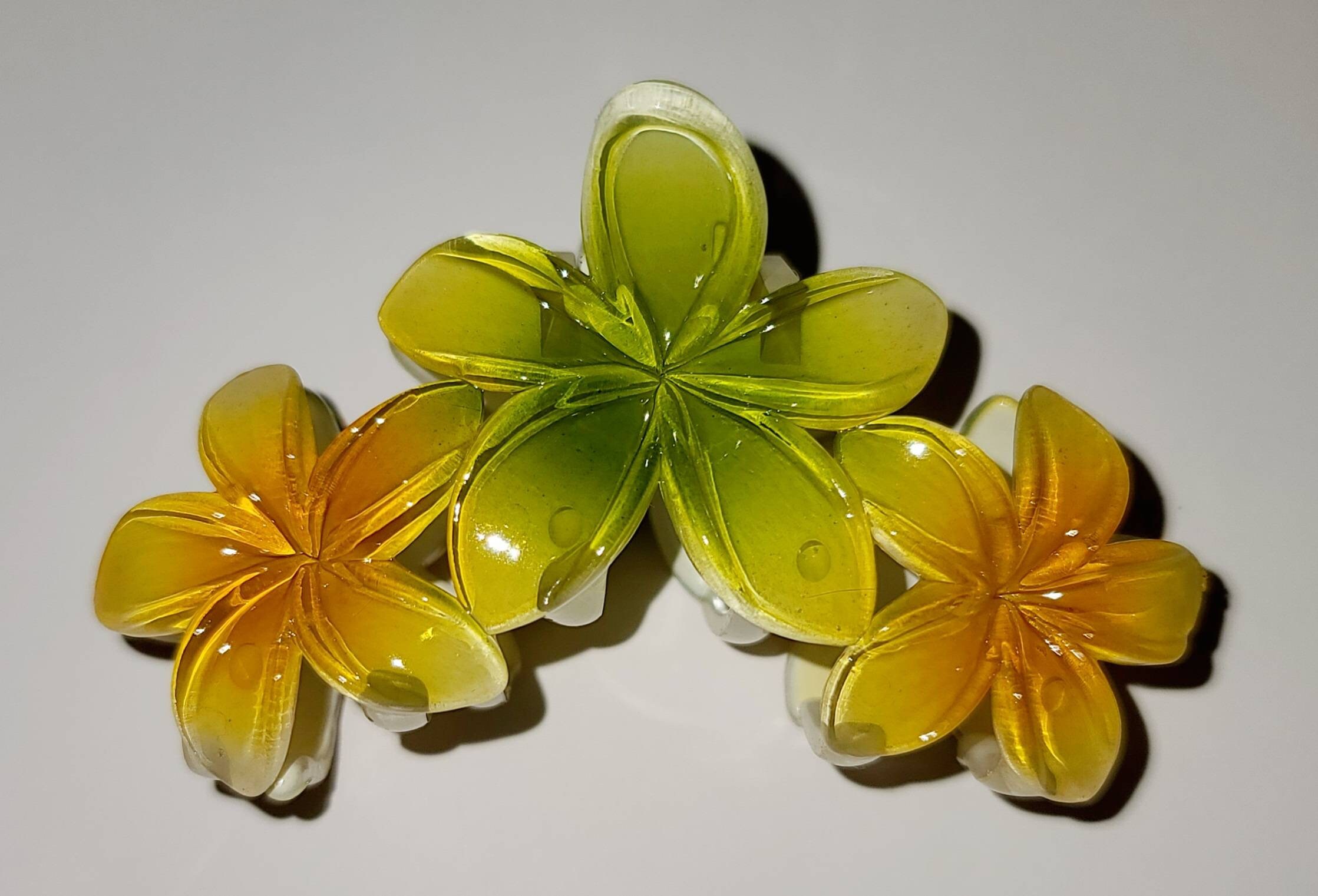 Brightly Colored Triple Plumeria Flower Hair Claw Clip - Etsy
