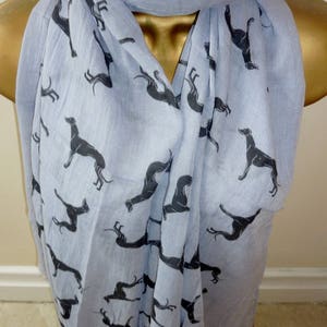 Greyhound Lurcher Dog Large Soft Cotton Blend Wrap Scarf Choice of Colours Frayed edging
