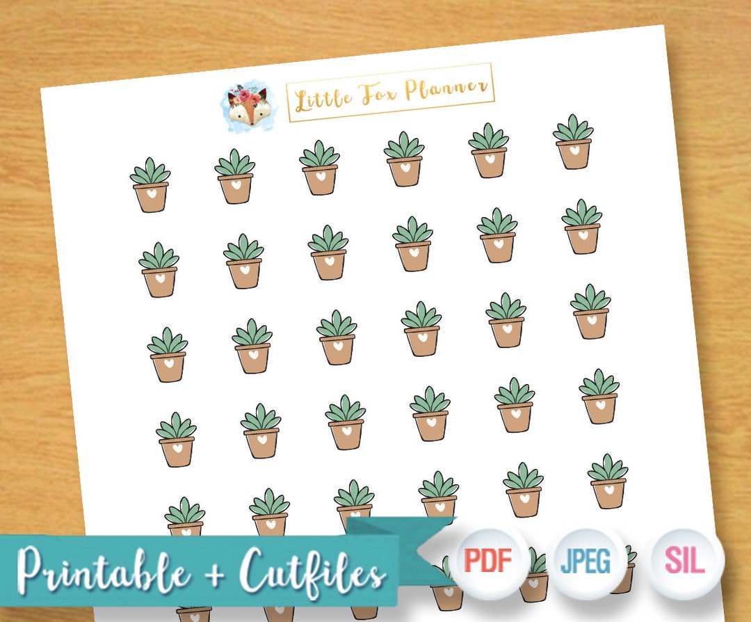 Gardening Water Plants Shower Plants Grow Flower Plant Etsy