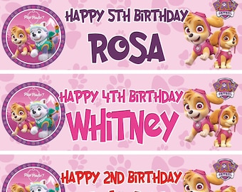 Children Party Banner 2 X Personalised PAW Patrol Skye Birthday Party Banners Children Party Banner 2 X Personalised PAW Patrol Skye Birthday Party Banners