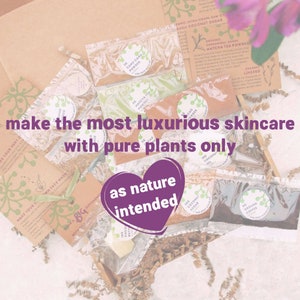 All Natural Make Your Own Skincare Kit, Face Mask Kit & Body Scrub Kit, Organic Vegan Zero Waste Skin Care image 2