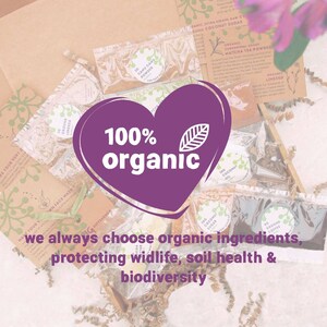 All Natural Make Your Own Skincare Kit, Face Mask Kit & Body Scrub Kit, Organic Vegan Zero Waste Skin Care image 4