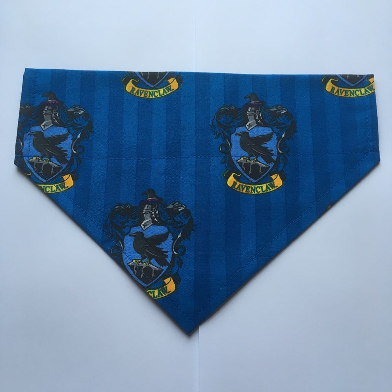 Handmade Wizard Dog Bandana