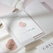 Blush Wedding Invitation Suite, Vellum Wedding Invitations Set with Pink Envelopes & RSVP, Modern Wedding Invite Bundle 'Chelsea' SAMPLE 