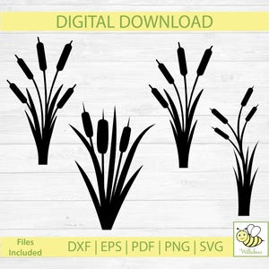 Quenouilles SVG, plante des marais, faune aquatique, feuilles plates, tapis de chaise, vivace verticale, plantes de l'étang, quenouille des cliparts, téléchargement numérique