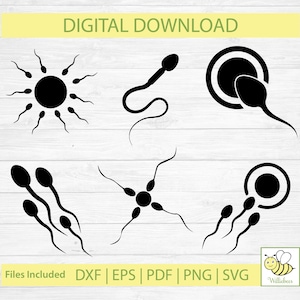 Esperma SVG, Imágenes Prediseñadas de esperma, Baby Shower, Célula reproductiva, Pollywog SVG, Hacer un bebé, Óvulo fertilizado, Nueva mamá, Descarga digital