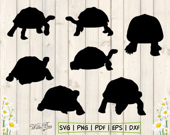 Turtle SVG, Tortoise Clipart, Turtle Silhouette, Tortoise Cut File, Turtle Vector, Turtle Clipart, Turtle SVG Download, Digital Download