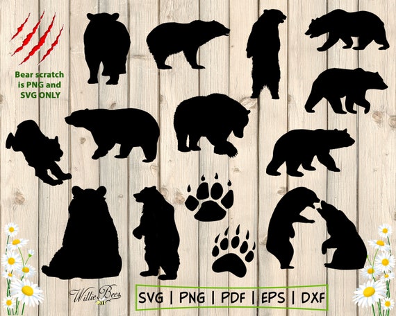 Bar Svg Silhouette Clipart Bild Bar Pfote Schwarzer Bar Etsy