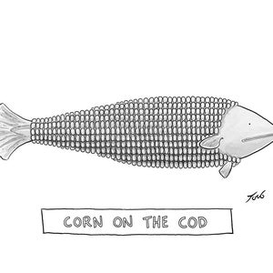 May include: A black and white line drawing of a fish with corn kernels for scales. The caption below the fish reads "Corn on the Cod."