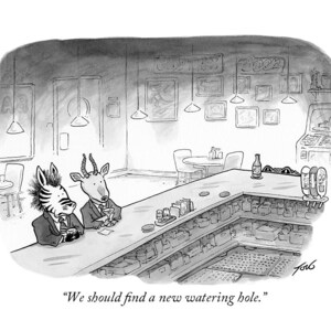 Signed giclee print of my cartoon "We Should Find a New Watering Hole"