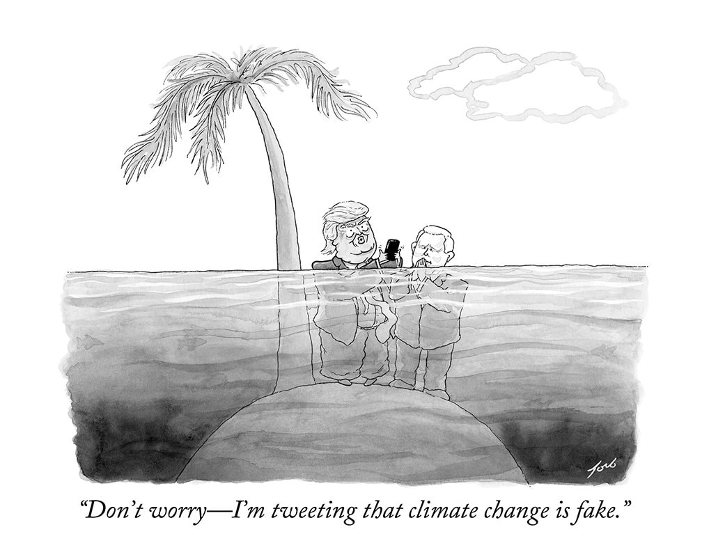 Signed print of my New Yorker cartoon "Don't Worry - I'm Tweeting That Climate Change Is Fake"