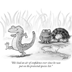 Signed giclee print of my cartoon "He's Had An Air of Confidence"