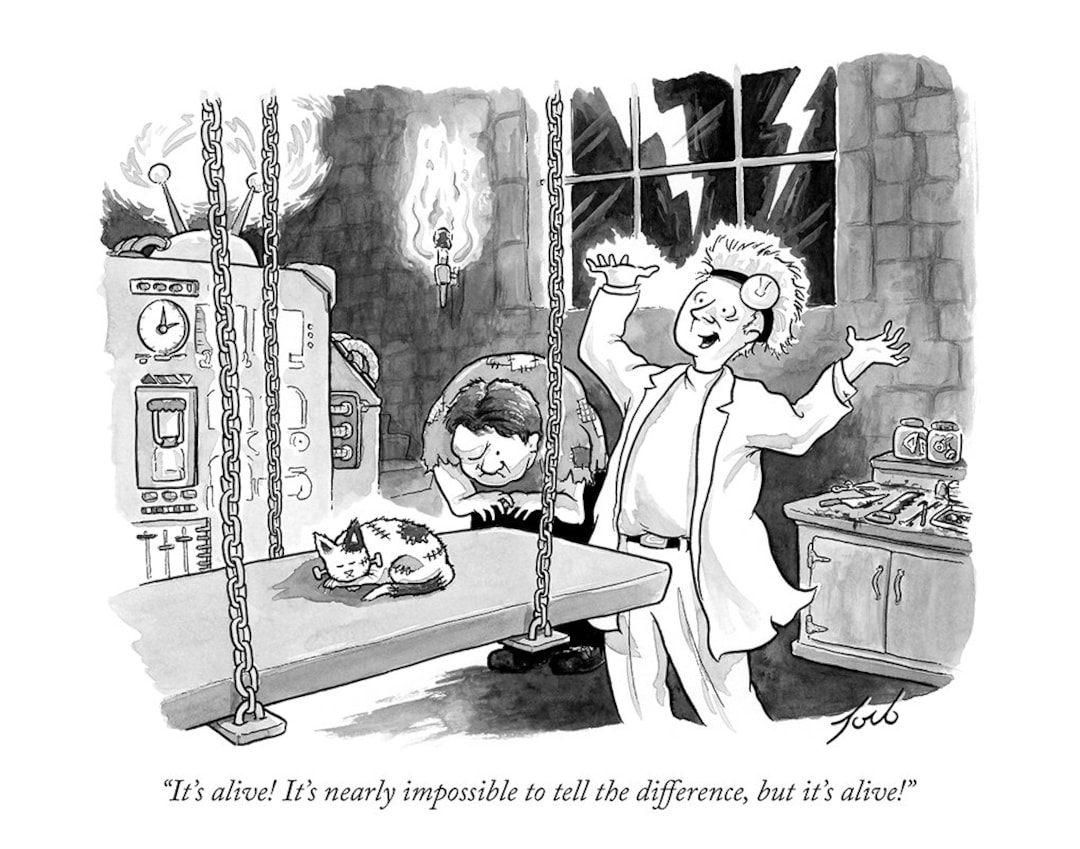 Signed Print of My New Yorker Cartoon 