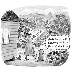 Signed giclee print of my cartoon "Everything Still Looks Black and White To Me"