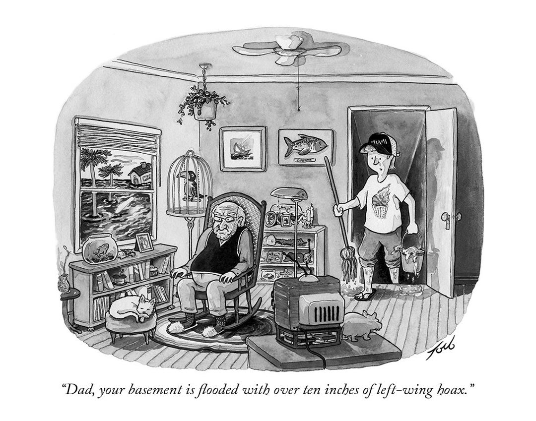 Signed Print of My New Yorker Cartoon dad Your Basement - Etsy Signed Print of My New Yorker Cartoon dad Your Basement - Etsy
