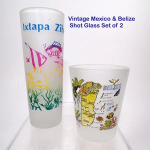 May include: Set of two vintage shot glasses. One tall glass features the text "Ixtapa Zih" and colorful fish illustrations. The shorter glass displays a map of Belize with various landmarks. Both glasses are frosted.