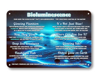 Educational Bioluminescence Sign, STEM Learning Wall Art