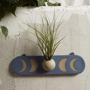 May include: A blue ceramic wall planter with a crescent moon design. The planter holds a small, round, off-white vase with a green plant. The planter is mounted on a textured, off-white wall.