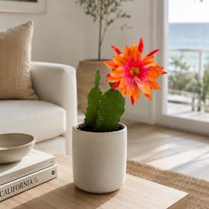 May include: A potted cactus with a vibrant orange and pink flower sits on a wooden coffee table. The white ceramic pot contrasts with the green cactus and the colorful bloom. The scene is set in a bright, airy room with a view of the ocean.