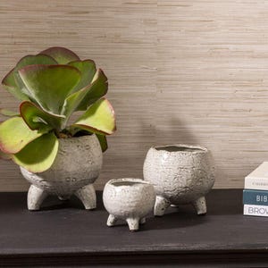 May include: Three textured, gray ceramic planters with rounded bodies and three short legs. The largest planter holds a green succulent with red-tinged edges. The planters are arranged on a dark surface against a neutral textured wall.