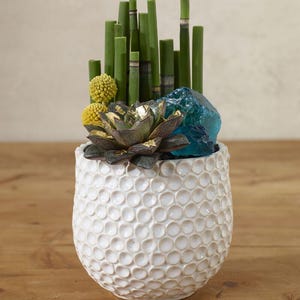Bubblepot Planter