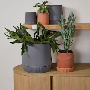 Slate Ceramic Planter: Minimalist Scandinavian Decor, 4" Plant Pot