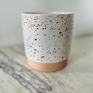 May include: White ceramic planter with a speckled glaze and a light brown base.