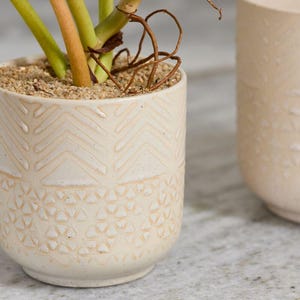 May include: A cylindrical ceramic planter with a cream-colored speckled finish and embossed geometric patterns. The pot contains a plant with light green and orange stems and brown roots, with sand visible on the surface of the soil inside the pot.