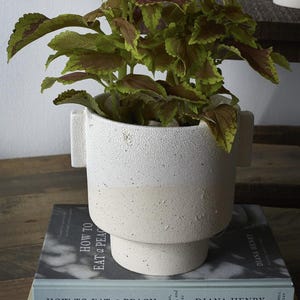 Puede incluir: Una planta de coleo con hojas verdes y burdeos en una maceta de cer&aacute;mica de dos tonos. La maceta es blanca en la parte superior y beige en la inferior, con un acabado texturizado. Se encuentra sobre una pila de libros, incluyendo "How to Eat a Peach".