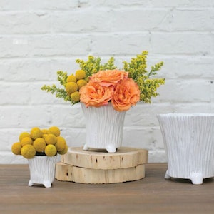 May include: Three white ceramic planters with a vertical ribbed texture and small feet. One small planter holds yellow billy balls, one medium planter holds orange roses and yellow filler flowers, and one medium planter is empty.