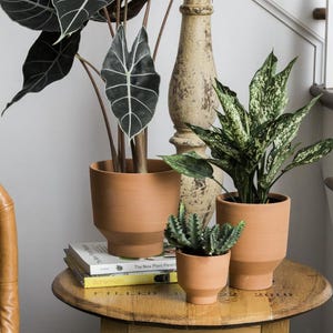 May include: Three terracotta pots with plants on a wooden table. The plants are a large-leafed plant, a smaller plant with green and white leaves, and a cactus. The table is round and has a wood grain pattern. The text "The New Plant Parent" is visible on a book on the table.