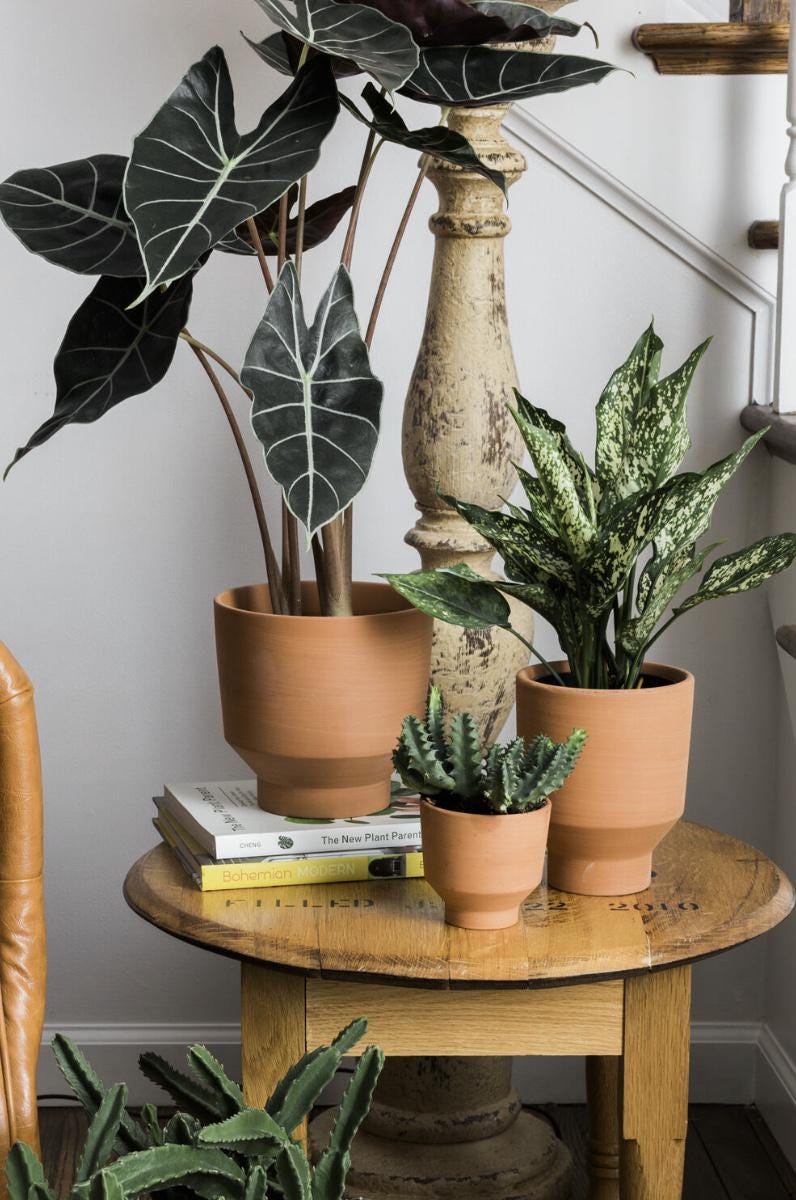 Moab Planter - Terracotta Pot - Minimalist Decor