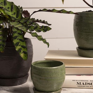 Juniper Ceramic Pot - Rustic Glazed Planter - Minimalist Plant Pot