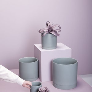 May include: A collection of gray ceramic planters of varying sizes, some with matching saucers. One planter holds a purple succulent. The planters are arranged on a pink surface against a matching background.