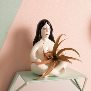 Nude Airplant Holder Includes Blood Red Airplant Airplant Collection Colorful Tillandsia image 1