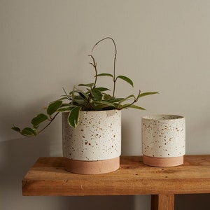 Wilder Pot - Speckled Saucer Planter - 6.5” Ceramic Pot