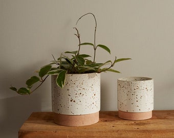 Wilder Pot - Speckled Saucer Planter - 6.5” Ceramic Pot