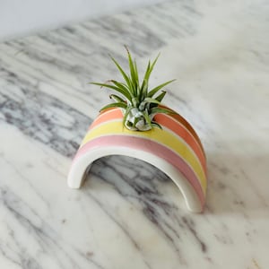 Rainbow Airplant Holder - Ceramic Tillandsia Holder - Planter for Airplants