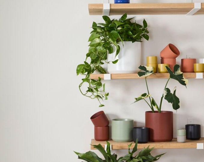 Matte Ceramic Planter: Modern Minimalist Indoor Pot
