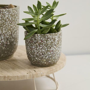 May include: A small, round, speckled ceramic pot with a succulent plant. The pot is olive green with white and red flecks. The plant has green leaves. The pot sits on a light-colored, round, stone-like stand with a white metal base.