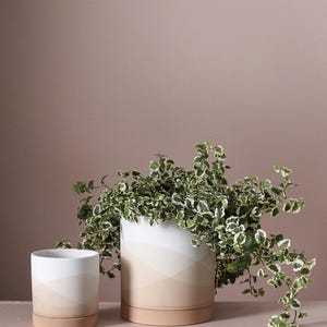 May include: Two ceramic planters, one large and one small, with a gradient design in white, beige, and peach. The larger planter holds a trailing green and white plant. The planters sit on a matching peach-colored shelf.