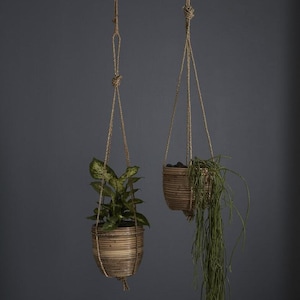 May include: Two hanging woven planters with plants against a dark gray background. The planters are suspended by natural rope. One planter holds a leafy green plant, and the other has a trailing green plant.