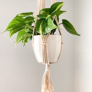 May include: A hanging macrame plant holder with a white and beige striped ceramic pot. The pot contains a green plant with yellow-green variegation. The macrame is made of beige rope and has a tassel at the bottom.