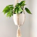 see more listings in the Pots + Planters section