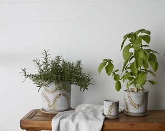 Papyrus Planter - Planter with Watering Saucer - 6" Pot