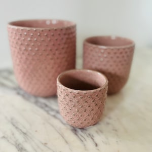 Parisian Pot - Blush Planter - Pots That Fit 3” or 4” or 5” Plants